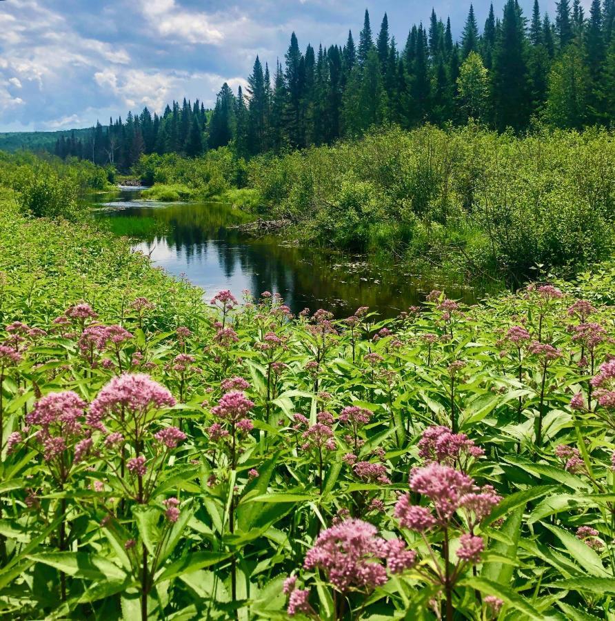 Chalet En Bois Rond Mauricie サン・タレクシ・デ・モン エクステリア 写真